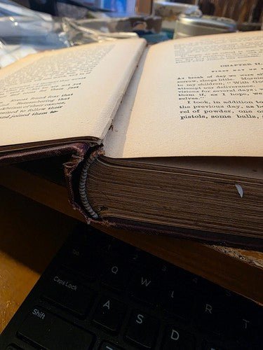 The Swiss Family Robinson - late 19th century – rare, vintage, or collectible item from Deb’s Book Paradise