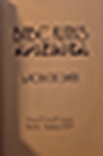 Babe Ruth’s America – rare, vintage, or collectible item from Deb’s Book Paradise