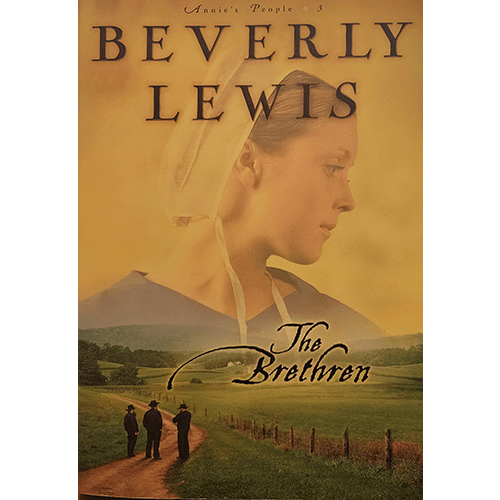 The Brethren – rare and collectible book from Deb’s Rare Books