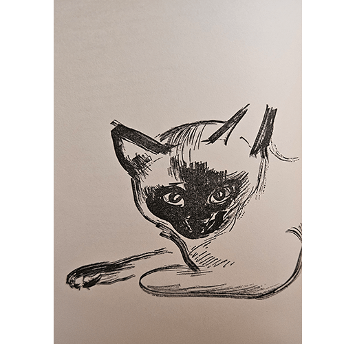 Cat and People – rare and collectible book from Deb’s Rare Books