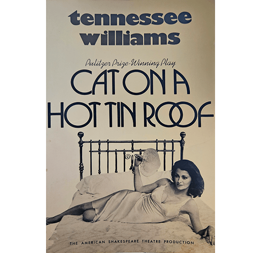 Cat on A Hot Tin Roof – rare and collectible book from Deb’s Rare Books