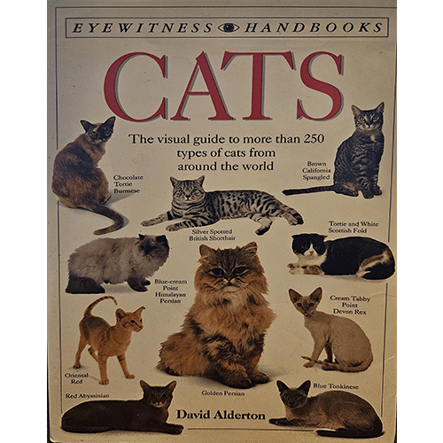 Cats – rare and collectible book from Deb’s Rare Books