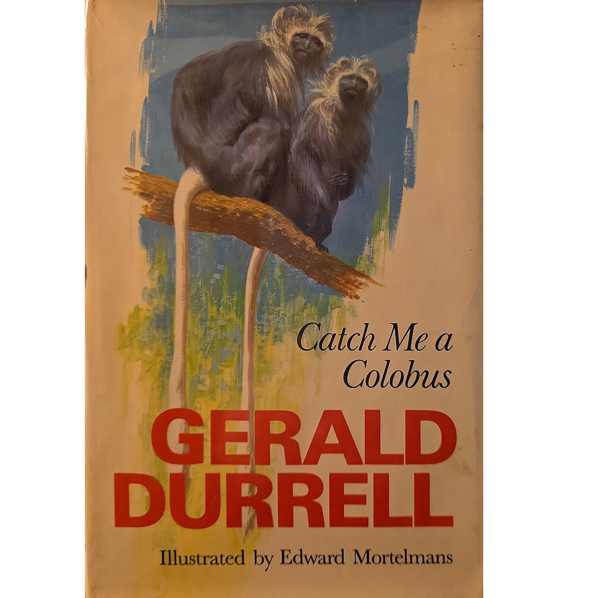 Front dust jacket of Gerald Durrell’s Catch Me a Colobus, showing two colobus monkeys in a tree.