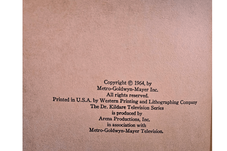 Dr. Kildare the Magic Key – rare and collectible book from Deb’s Rare Books