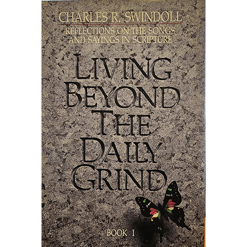 Living Beyond the Daily Grind Book I – rare and collectible book from Deb’s Rare Books