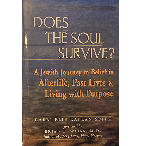 Does the Soul Survive? – rare and collectible book from Deb’s Rare Books