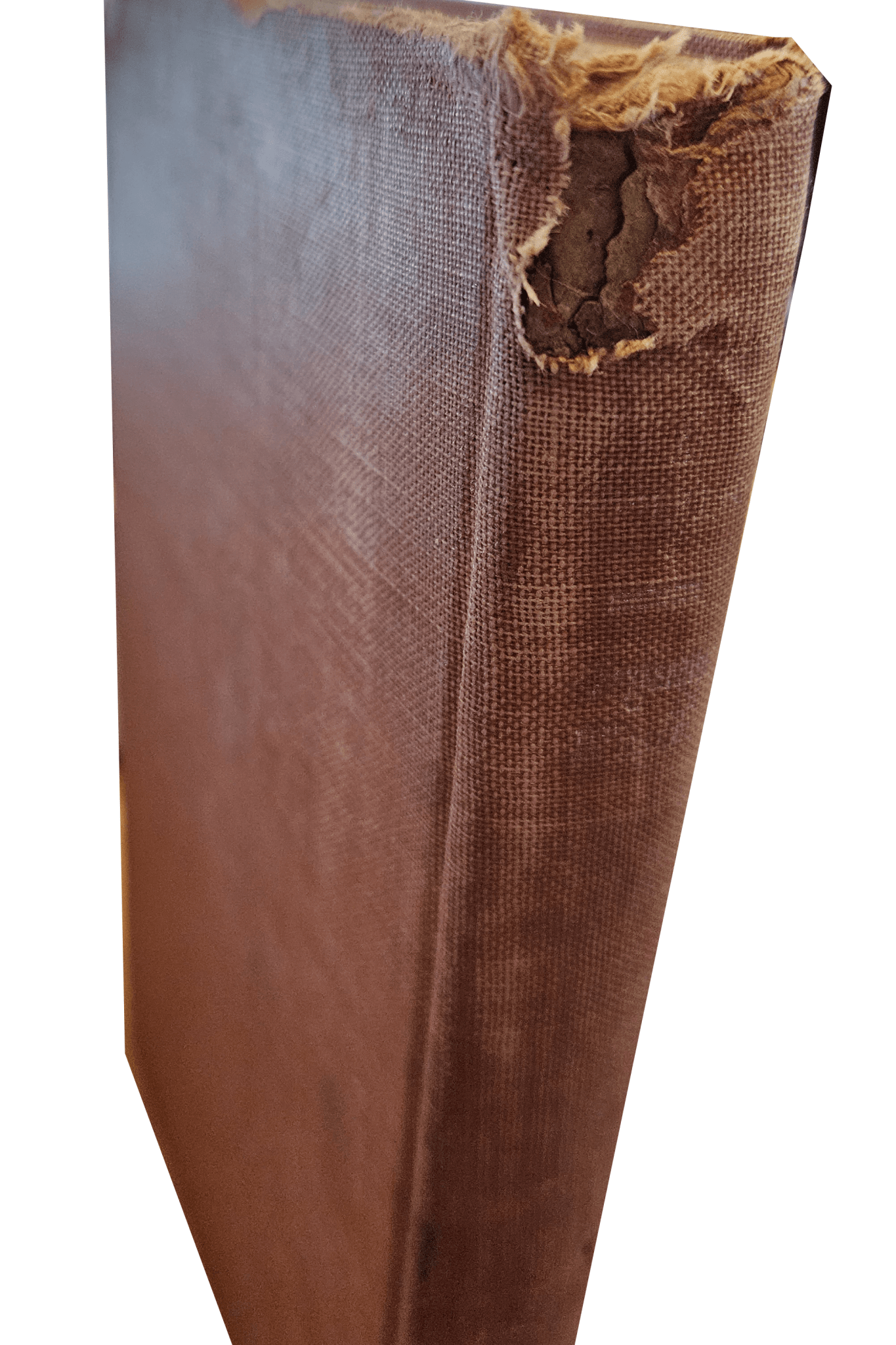 Flush: A Biography by Virginia woolf – rare and collectible book from Deb’s Rare Books