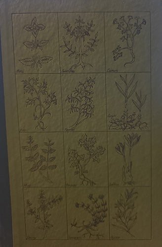 Good Cheap Food — Miriam Ungerer (1973 Viking Press, First Edition) – rare, vintage, or collectible item from Deb’s Book Paradise