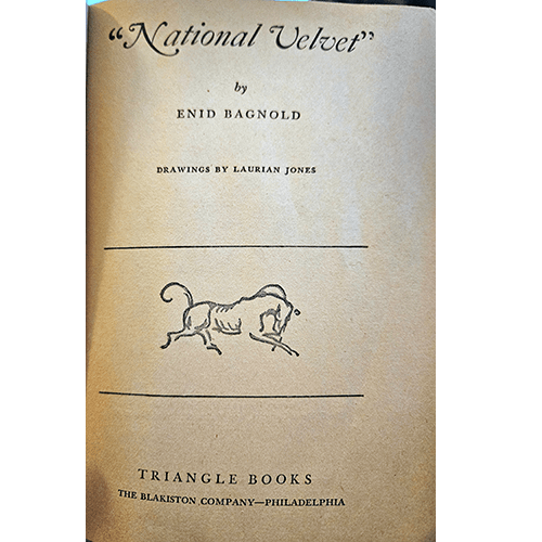 National Velvet – rare and collectible book from Deb’s Rare Books