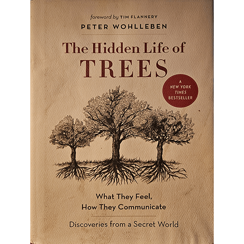 the Hidden Life of Trees – rare and collectible book from Deb’s Rare Books