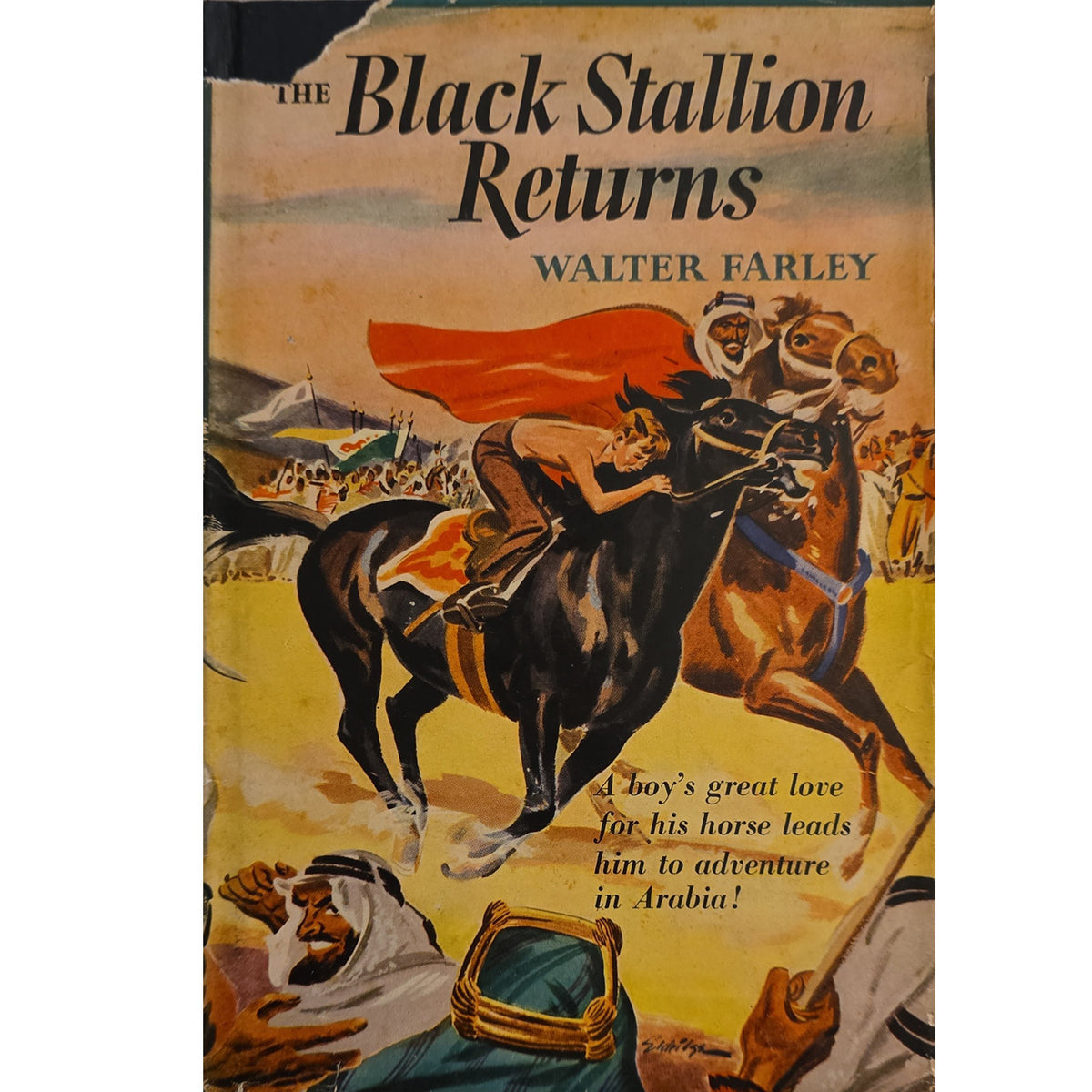 Vintage illustrated book cover for 'The Black Stallion Returns' by Walter Farley, showing a dramatic scene of a rider on a black horse with another horse and figures in the background, with the title in large text at the top.