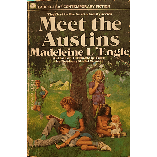 Meet the Austins – rare and collectible book from Deb’s Rare Books