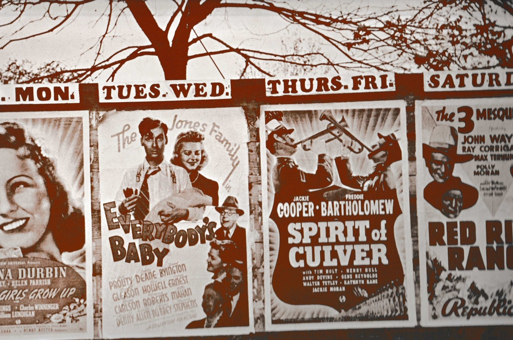 Nostaligic movie posters Golden Age – rare and collectible book from Deb’s Rare Books