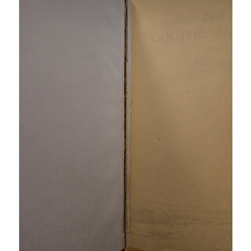 Dr. Zhivago – rare and collectible book from Deb’s Rare Books