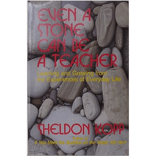 Even a Stone Can Be a Teacher: Learning and Growing from the Experiences of Everyday Life – rare and collectible book from Deb’s Rare Books
