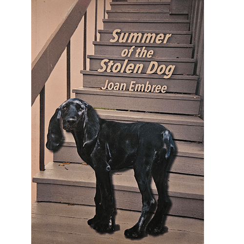 Summer of the Stolen Dog – rare and collectible book from Deb’s Rare Books