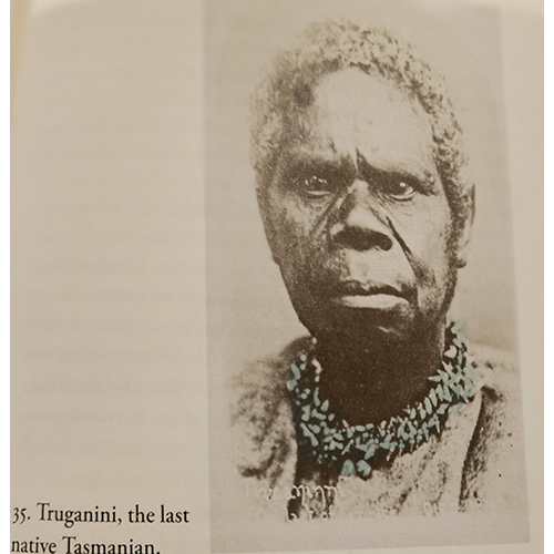 Sapiens – rare and collectible book from Deb’s Rare Books