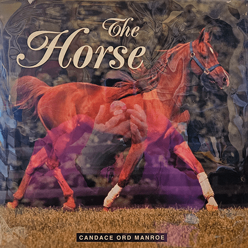 The Horse – rare and collectible book from Deb’s Rare Books