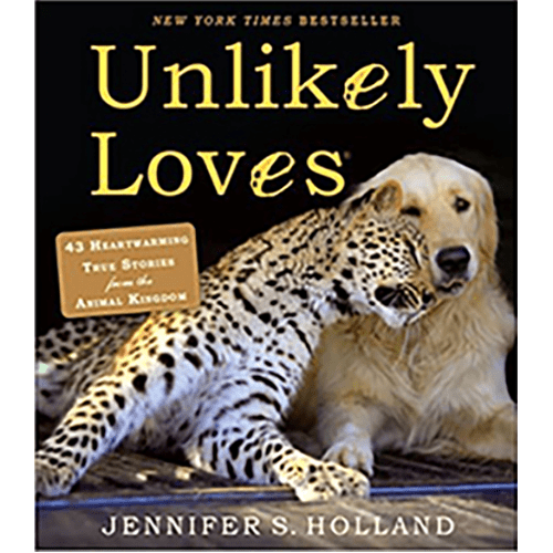 Cover of Unlikely Loves by Jennifer S. Holland, showing a cheetah affectionately cuddling with a golden retriever. Illustrated paperback edition.