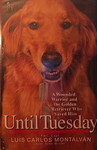 Until Tuesday – rare, vintage, or collectible item from Deb’s Book Paradise