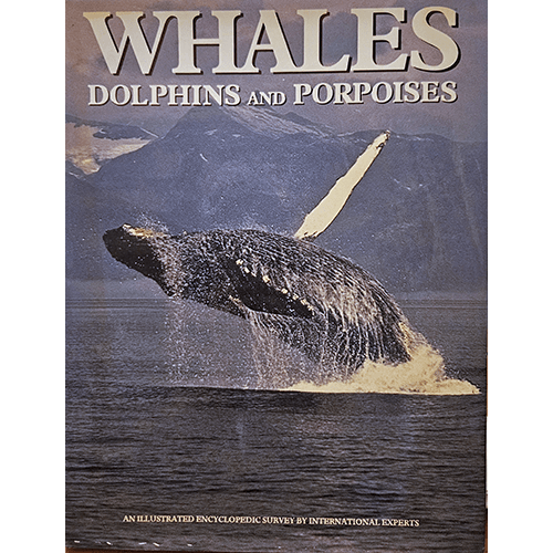 Whales Dolphins and Porpoises – rare and collectible book from Deb’s Rare Books
