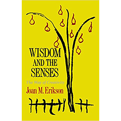 The book cover features an abstract design with interwoven colorful patterns, symbolizing the connection between sensory experiences and creativity.