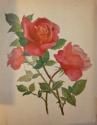 Back page of vintage song folio with floral illustration and publisher information