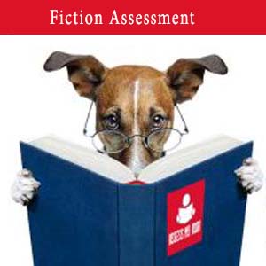 Fiction Assessment