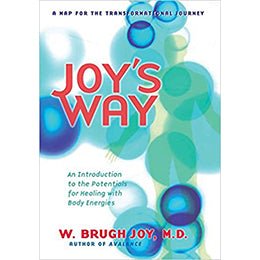Joy's Way, A Map for the Transformational Journey: An Introduction to the Potentials for Healing with Body Energies – rare and collectible book from Deb’s Rare Books