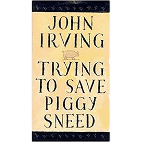 The cover features a minimalist design with bold typography, highlighting the title "Trying to Save Piggy Sneed" and author John Irving against a neutral background.