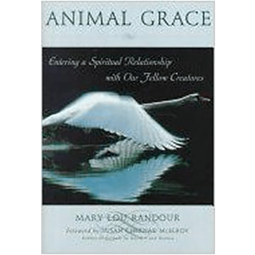 The cover features a white swan gliding over water, its reflection creating a serene and mystical image, symbolizing the spiritual grace of animals.