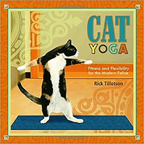 Cat Yoga: Fitness and Flexibility for the Modern Feline Hardcover – rare and collectible book from Deb’s Rare Books