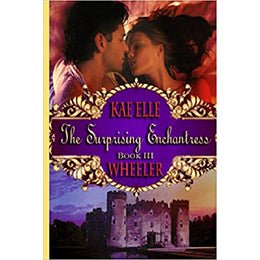 The Surprising Enchantress - Book III (What happens next Cinderella?) – rare and collectible book from Deb’s Rare Books