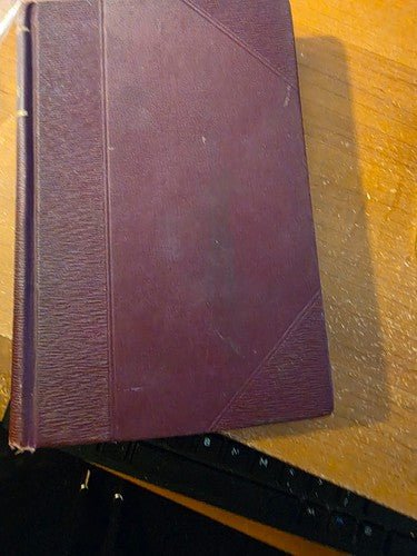 The Swiss Family Robinson - late 19th century – rare, vintage, or collectible item from Deb’s Book Paradise