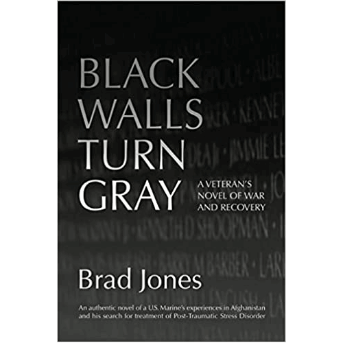 Black Walls Turn Gray: A Veteran's Novel of War and Recovery