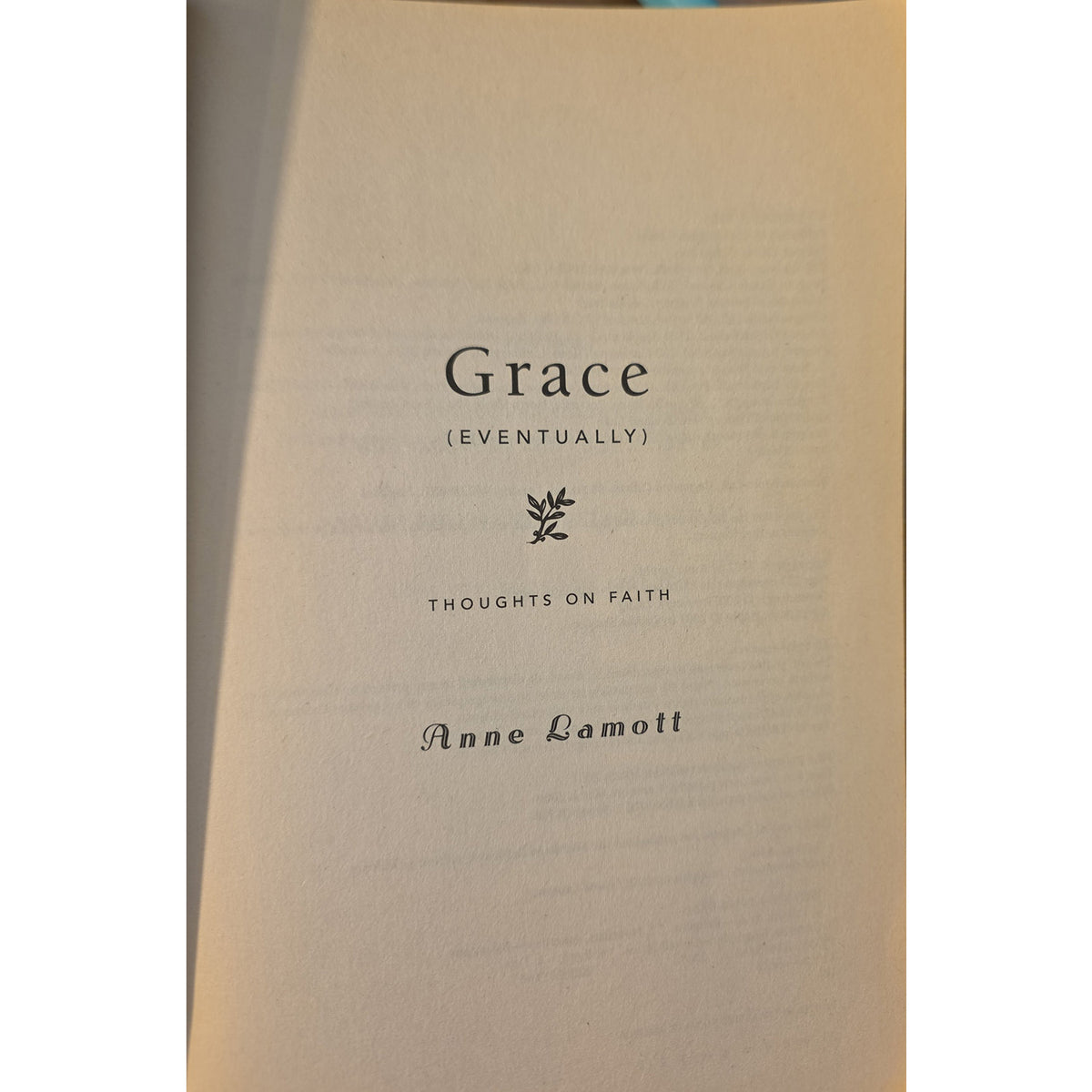 Ann Lamott Grace (Eventually)