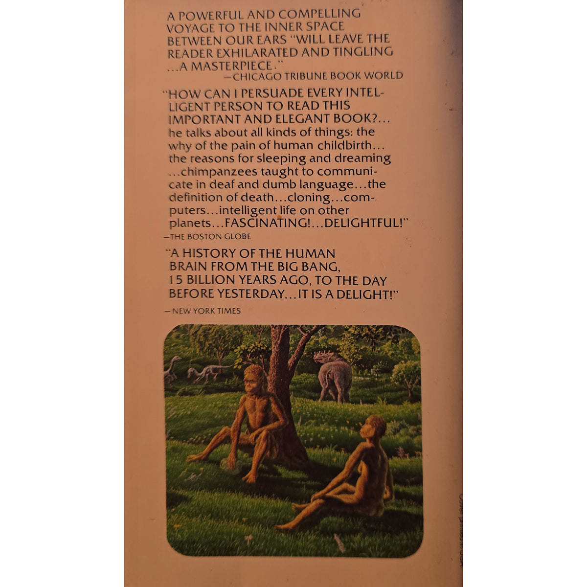 The back cover of a book, showing a tan background with black text reviews and a small square illustration of a chimpanzee in a forest.
