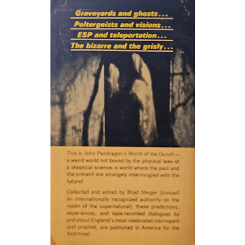 back Book cover with text about paranormal topics and a silhouette of a person in front of a stone wall.