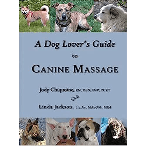 A Dog Lover's Guide to Canine Massage