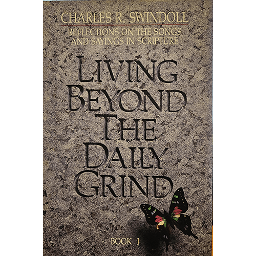 Living Beyond the Daily Grind Book I