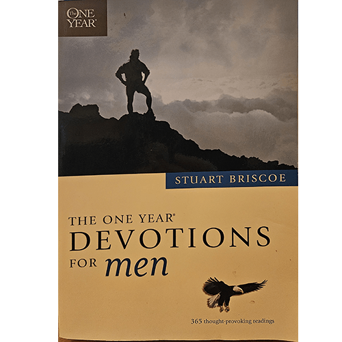 Cover of The One Year Devotions for Men by Stuart Briscoe. A silhouette of a man stands on a mountain peak under a cloudy sky, symbolizing strength and reflection. A soaring eagle is shown below the title.