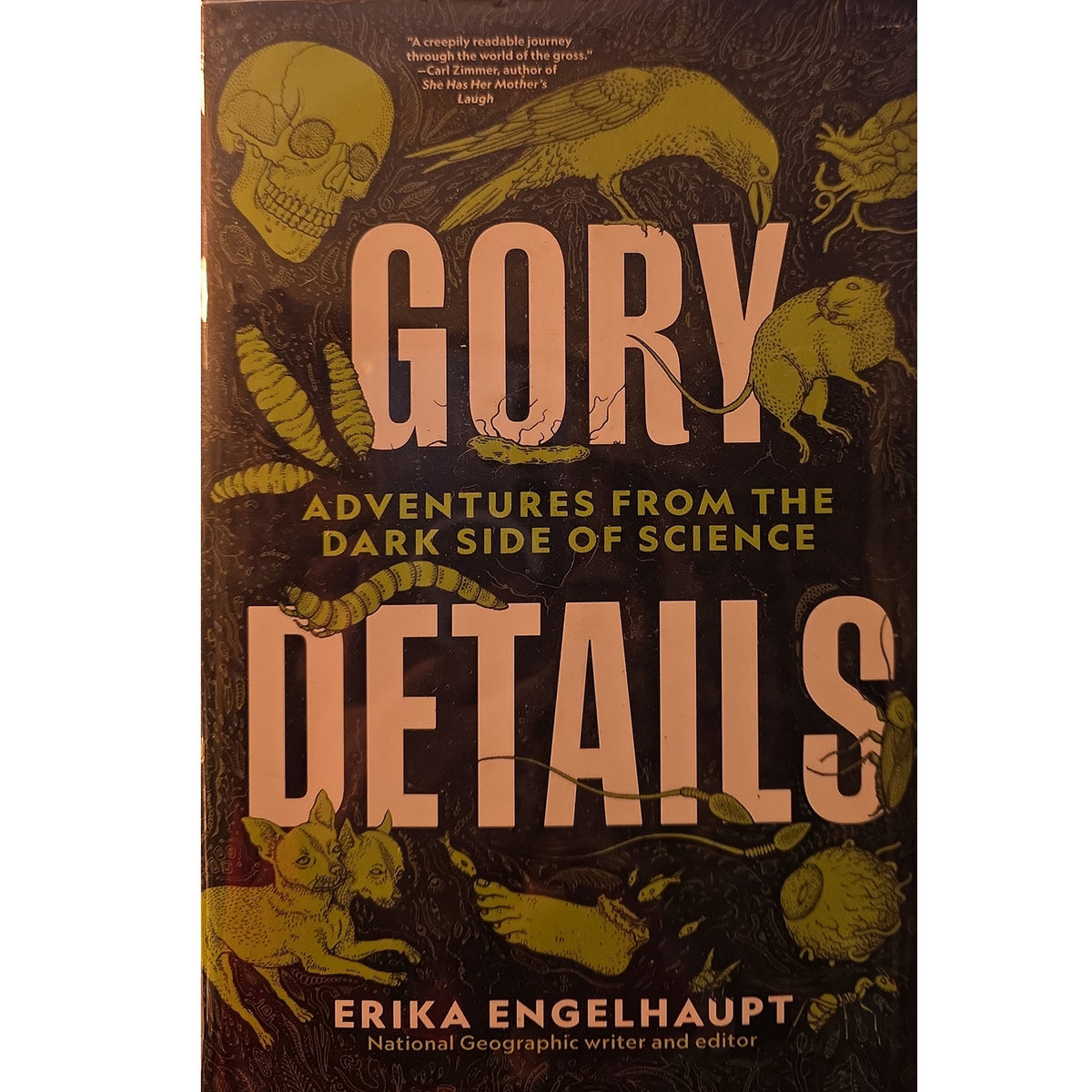 The front cover of the book 'Gory Details: Adventures from the Dark Side of Science' by Erika Engelhaupt, featuring a dark brown background with pale pink title text and yellow illustrations of scientific specimens.