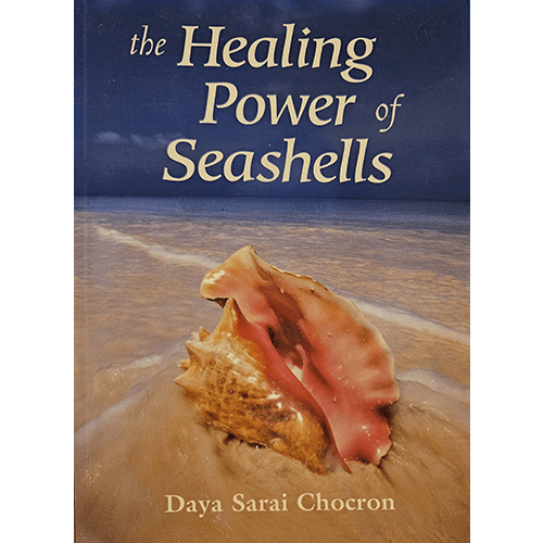 The cover of The Healing Power of Seashells features a conch shell resting on a sandy shore with waves in the background, symbolizing the calming and healing energies of the ocean and seashells.