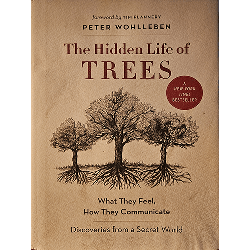 the Hidden Life of Trees