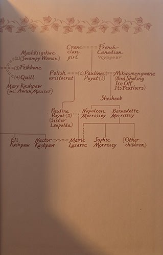 Alt text: Interior illustrated family tree diagram from The Last Report on the Miracles at Little No Horse, showing character relationships.