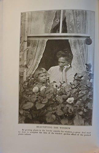 Interior photographic illustration from House Plants and How to Grow Them depicting a woman and child at a window surrounded by flowering houseplants.