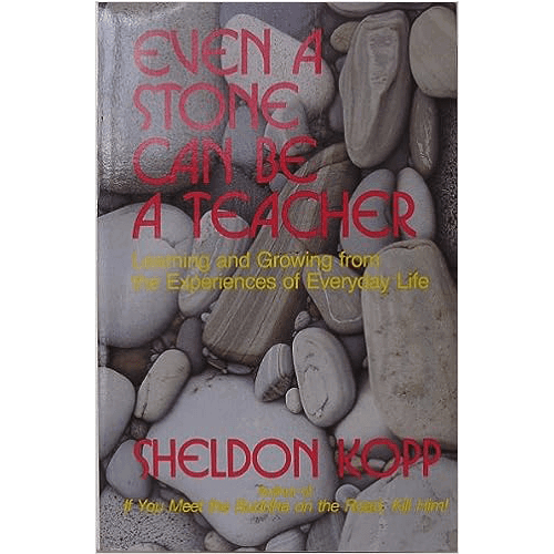 Even a Stone Can Be a Teacher: Learning and Growing from the Experiences of Everyday Life