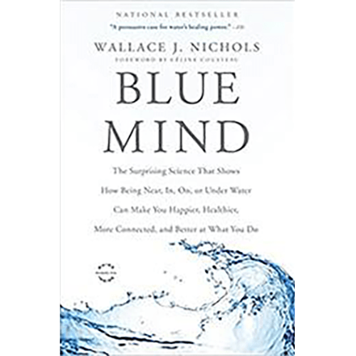 Blue Mind: The Surprising Science That Shows How Being Near, In, On, or Under Water Can Make You Happier, Healthier, More Connected, and Better at What You Do