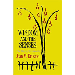 Wisdom and the Senses: The Way of Creativity Paperback