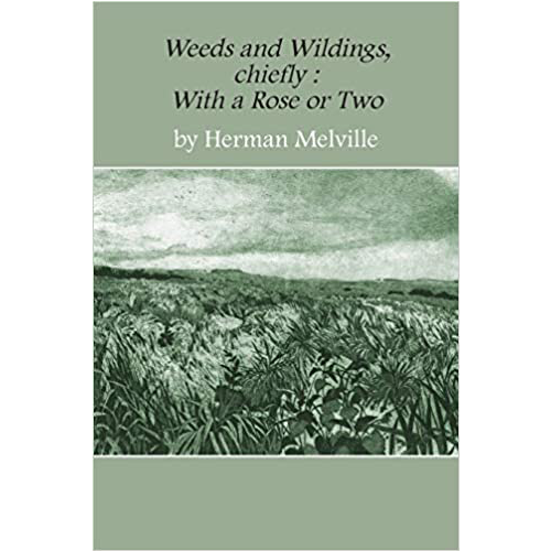 Weeds and Wildings: chiefly with a Rose or Two